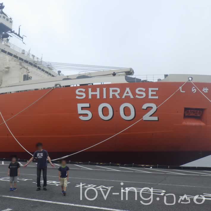SHIRASE5002